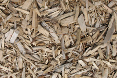 biomass boilers Cynwyl Elfed